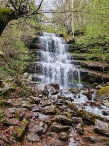 viber_slika_2025-05-15_09-31-15-779