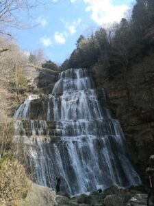 viber_image_2026-03-29_16-07-41-037